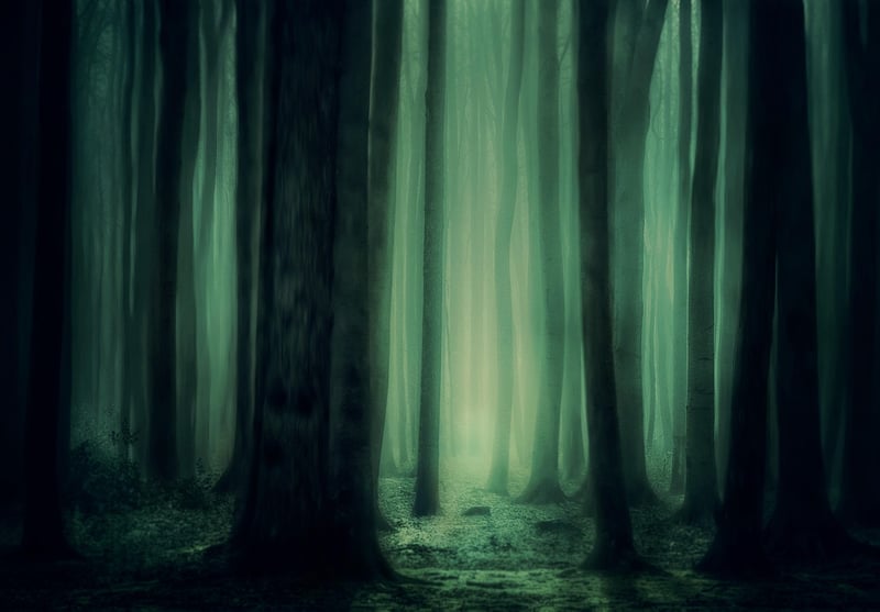 Mystical Woodland Locations